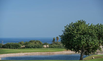 Vall D’Or Golf Course